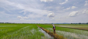 RumaKita Alor Setar Paddy View Netflix M0slim Only